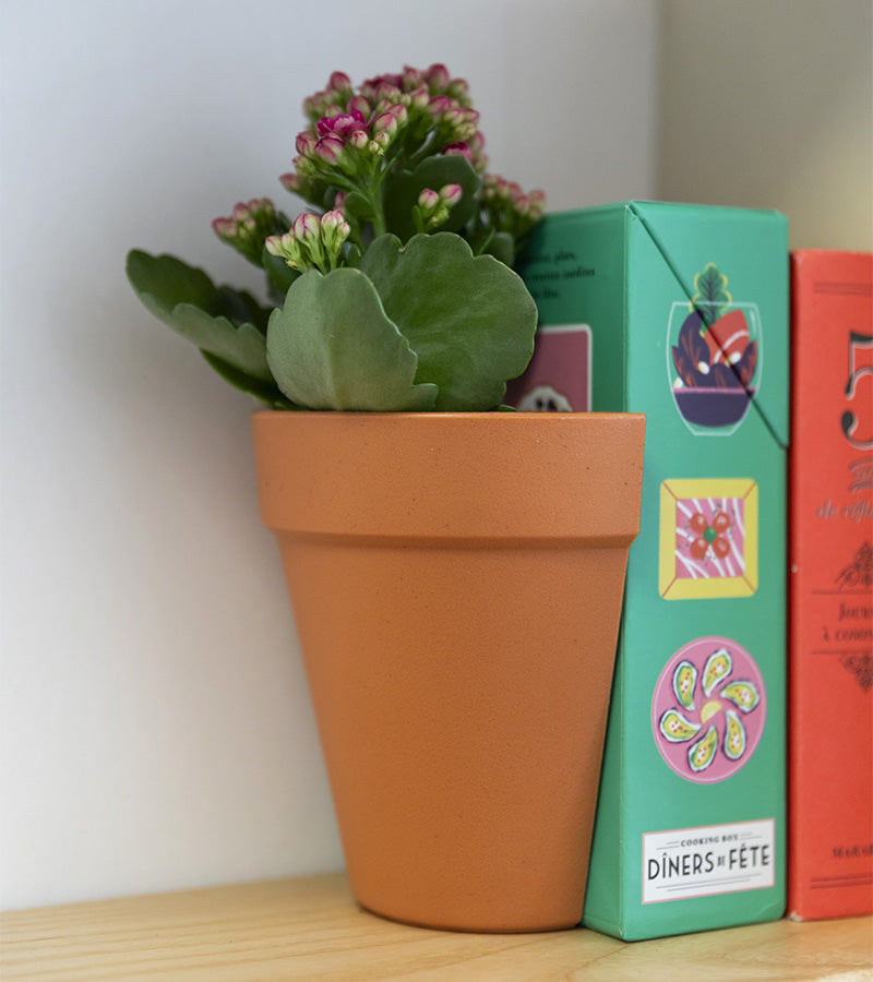 L'avant gardiste Serre-livres 2 en 1 pot à plantes lot 2