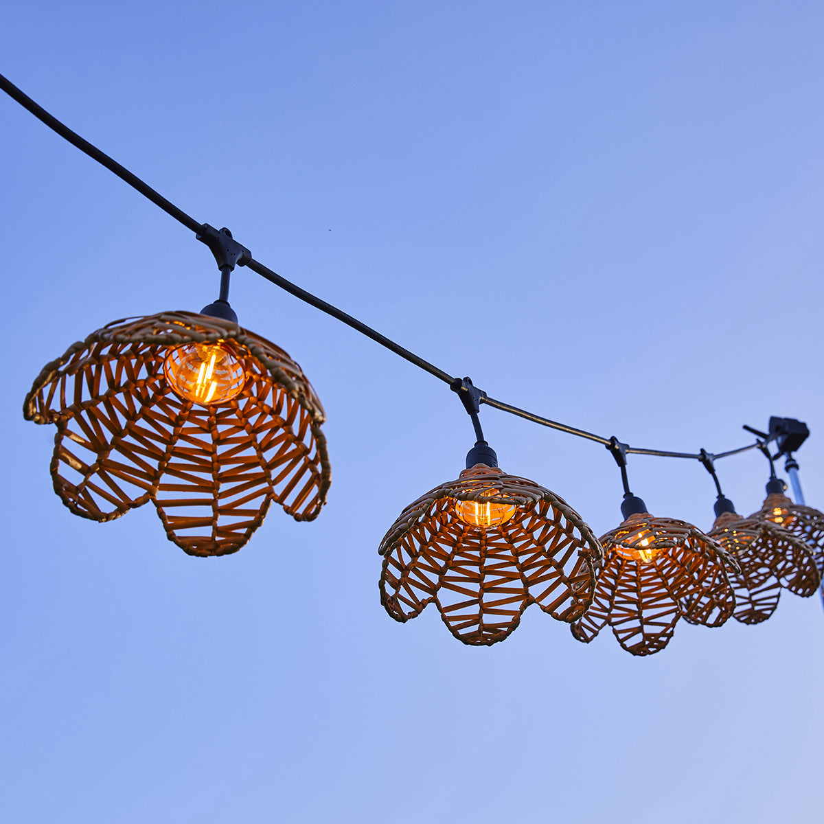 Red Deco Flower Light guirlande 6 m polyrotin 7 ampoules E27