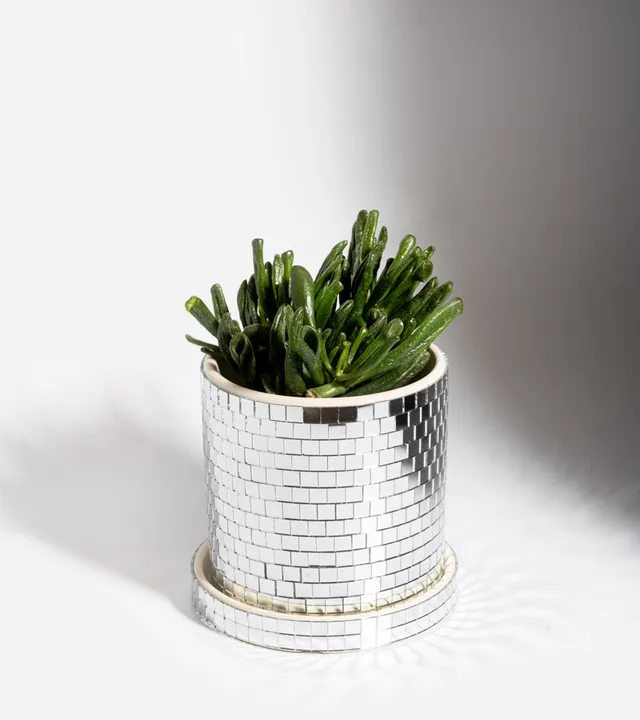 L'avant gardiste Vases et cache-pots cache-pot disco brillant