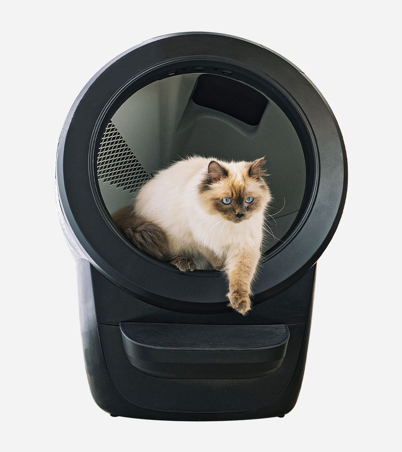 L'avant gardiste Lifestyle litière autonettoyante Litter-Robot 4 connectée