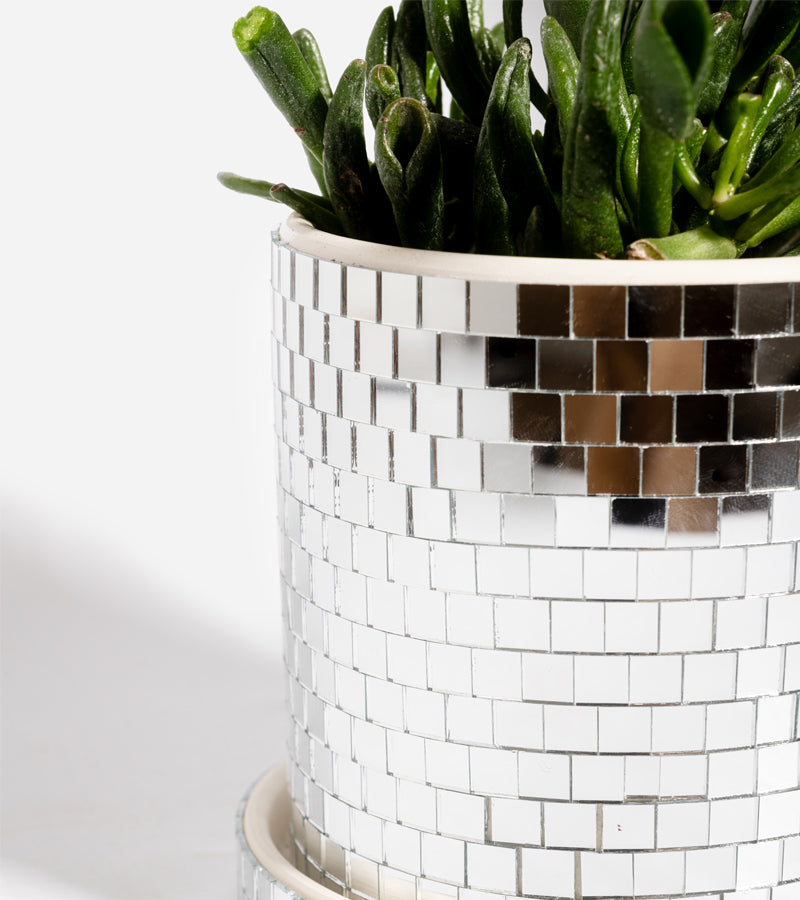 L'avant gardiste Vases et cache-pots cache-pot disco brillant