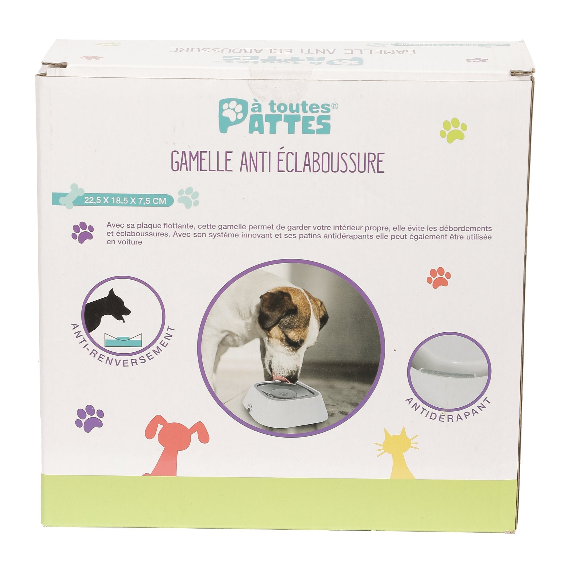 Gamelle Anti Éclaboussure Chien Chat Plaque Flottante