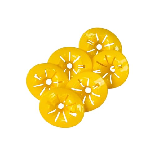 Shop-Story Maison Wasp Trap Piège Guêpes x6 Piège Bouteille Écologique