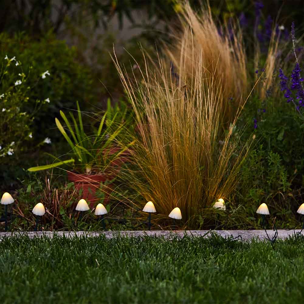 Red Deco Champy 10 champignons solaires LED blanc chaud 3,8m