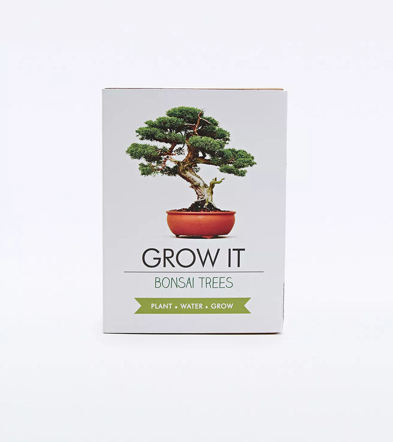 L'avant gardiste Outdoor kit plantation bonsaï graines