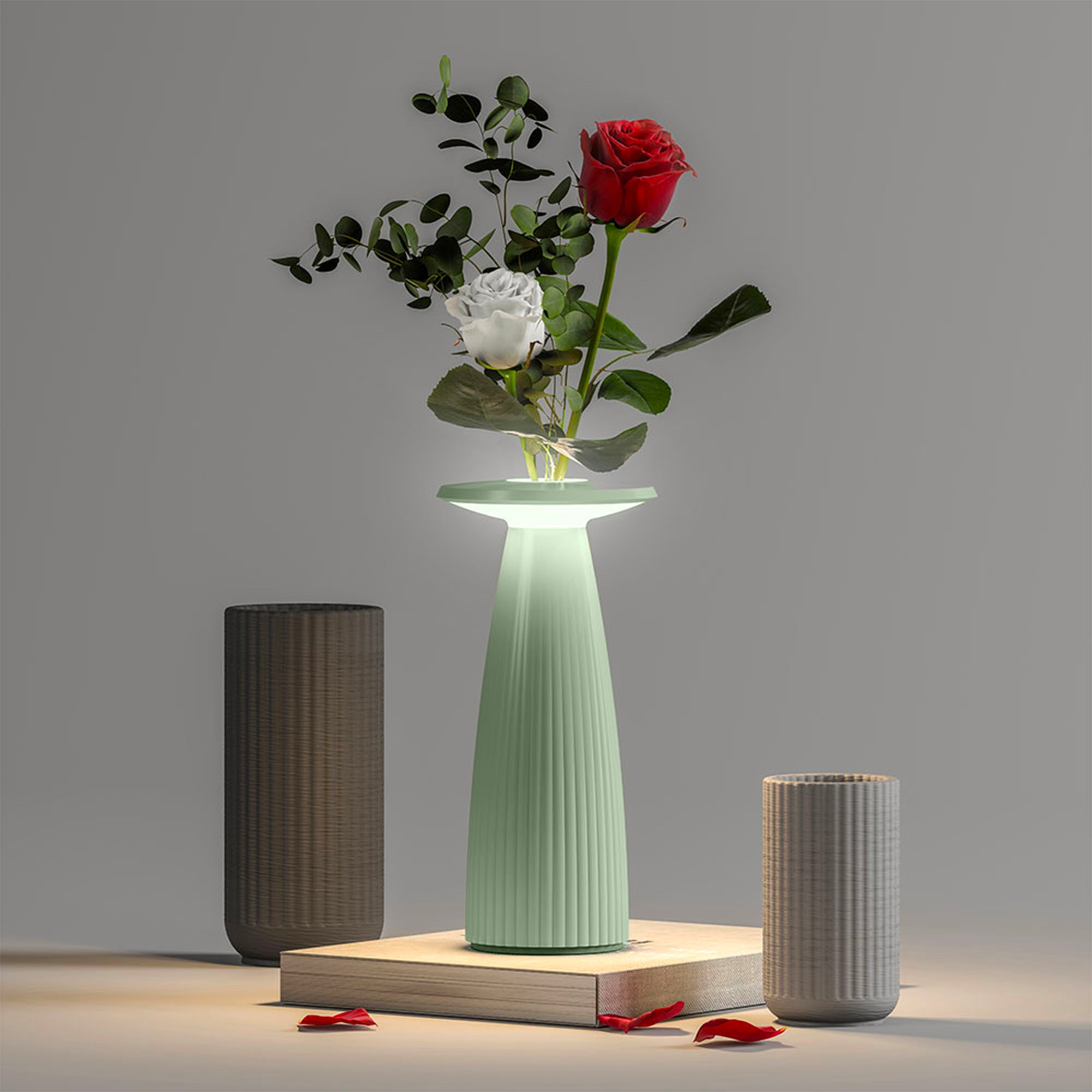 Red Deco Flora Mini Sauge lampe sans fil vase H20cm LED
