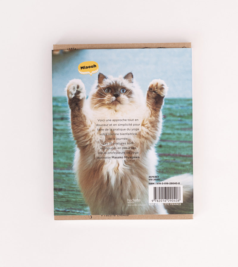 L'avant gardiste Yoga du Chat livre humour yoga félin