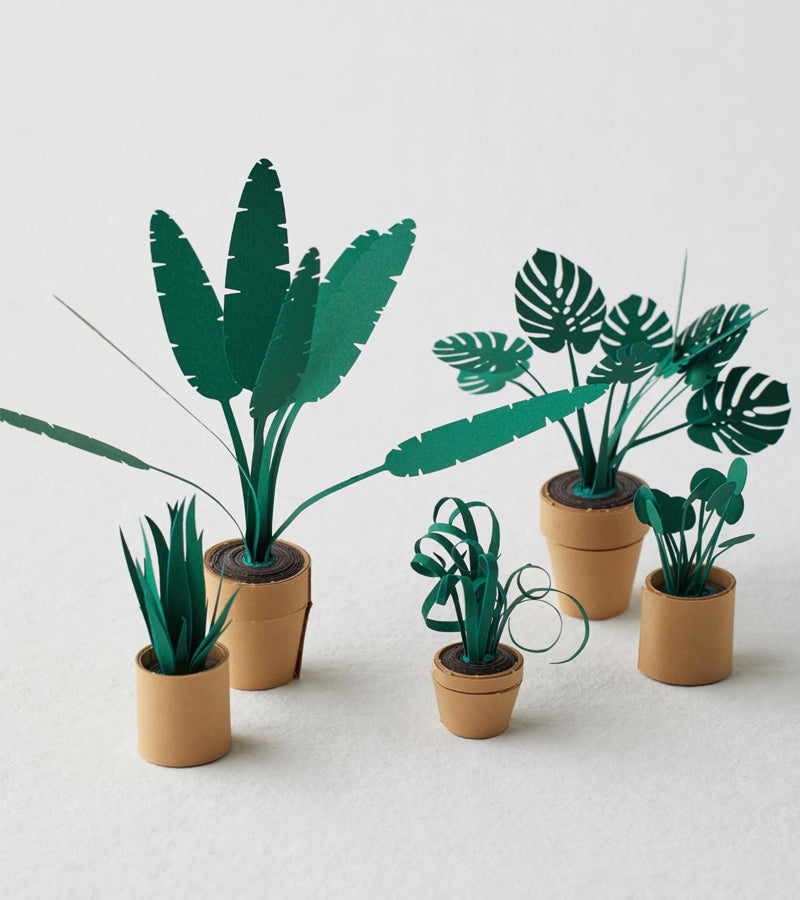 L'avant gardiste Plantes en papier DIY jungle sans arrosage