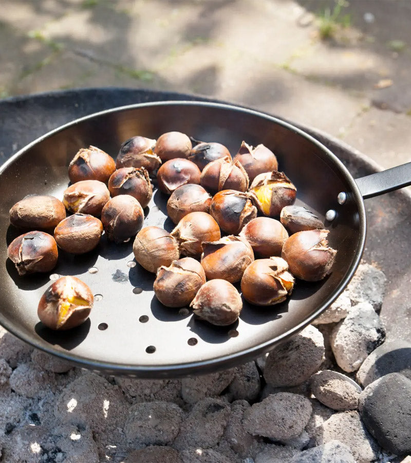 L'avant gardiste Poêle à châtaignes barbecue perforée