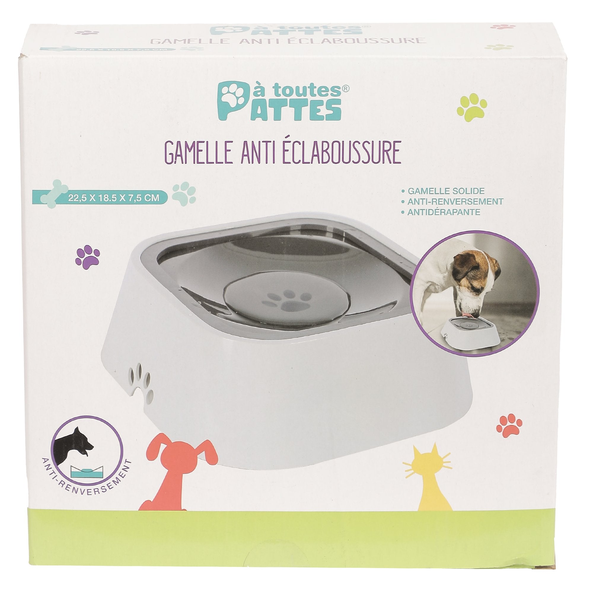 Gamelle Anti Éclaboussure Chien Chat Plaque Flottante