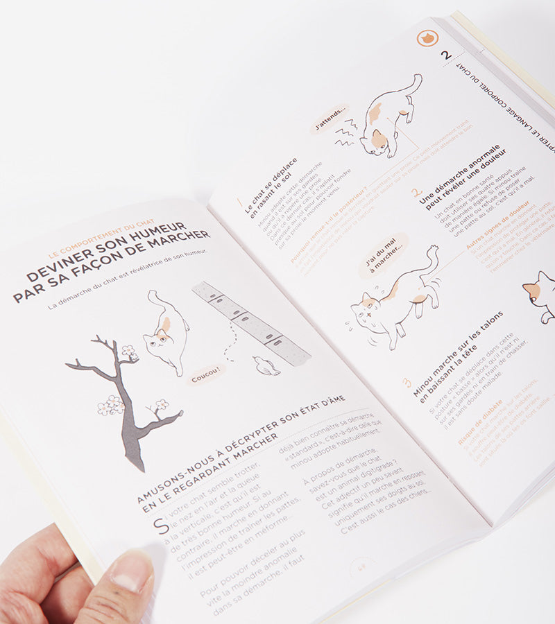 L'avant gardiste Ce que chat veut dire livre chat