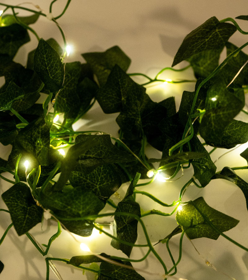 L'avant gardiste Déco guirlande lumineuse lierre 60 LED blanc