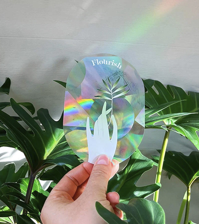 L'avant gardiste sticker arc-en-ciel fenêtre Slow down