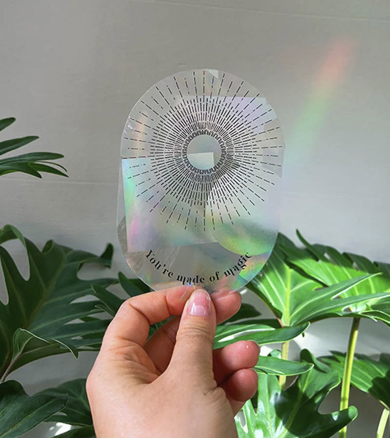 L'avant gardiste sticker arc-en-ciel fenêtre Slow down