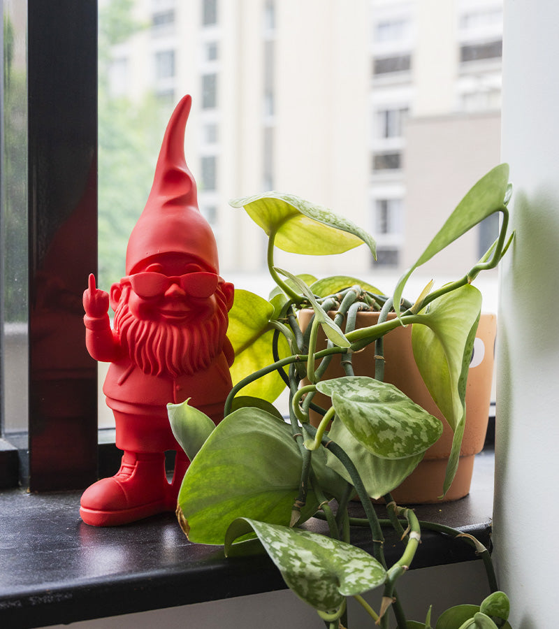 L'avant gardiste Bernardo nain de jardin statue rouge doré noir
