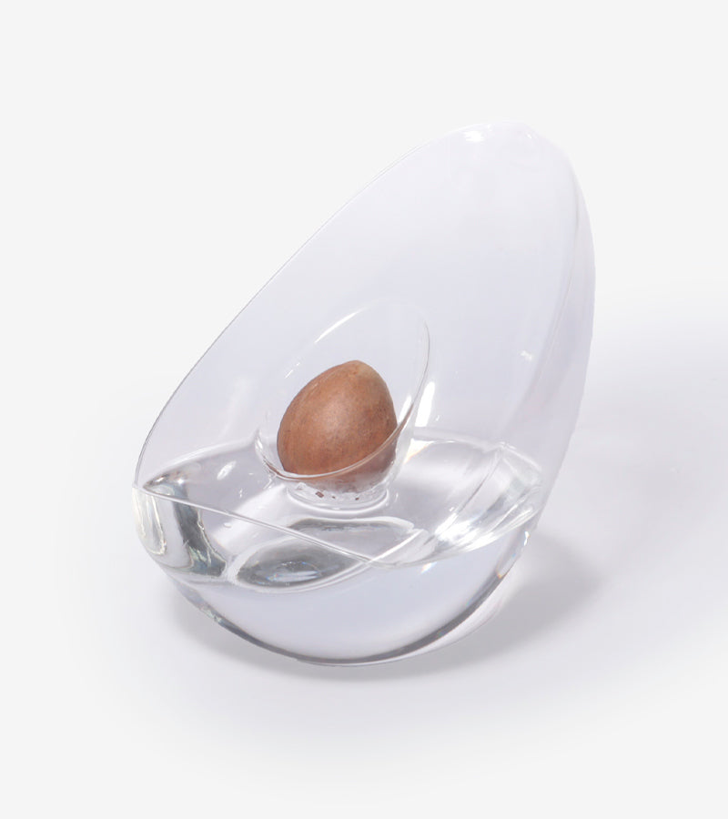 L'avant gardiste Vase pour noyau d'avocat vase germination