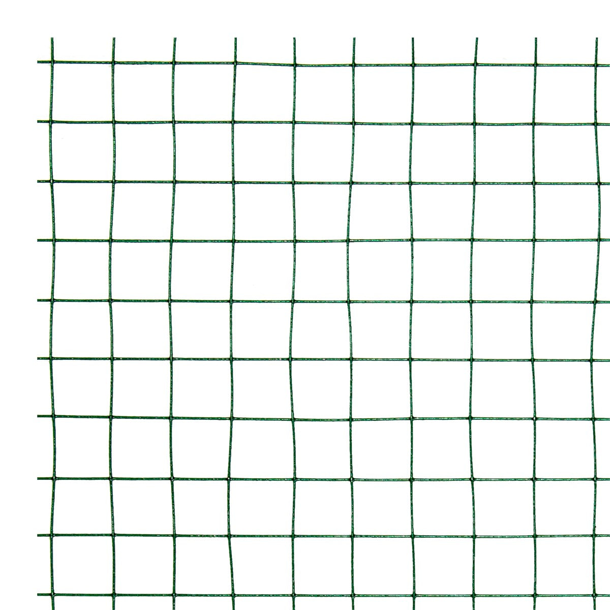 ECD Germany Garten grillage volière vert acier 10 m
