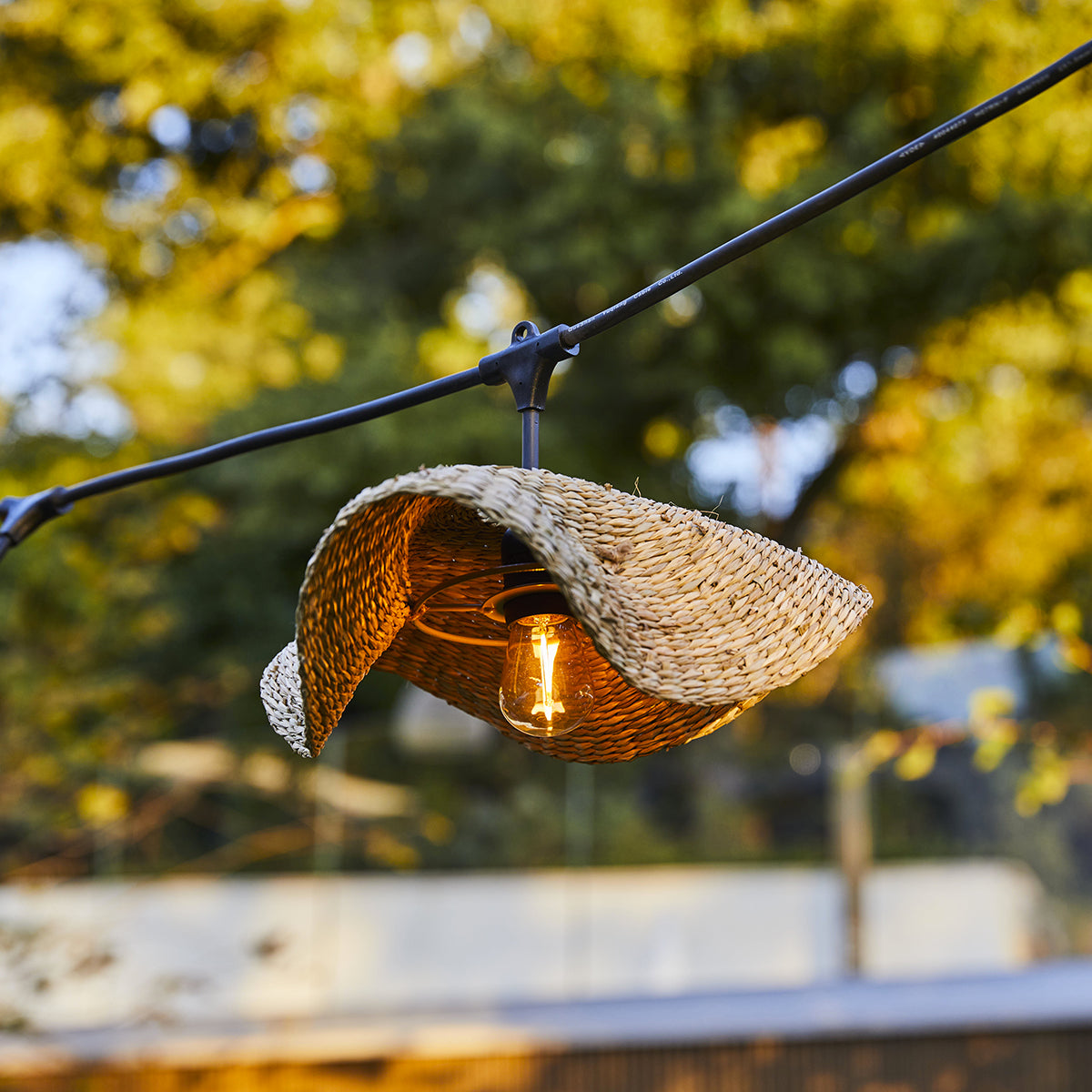 Red Deco Molly Light Guirlande 6m 7 Ampoules Herbe Marine
