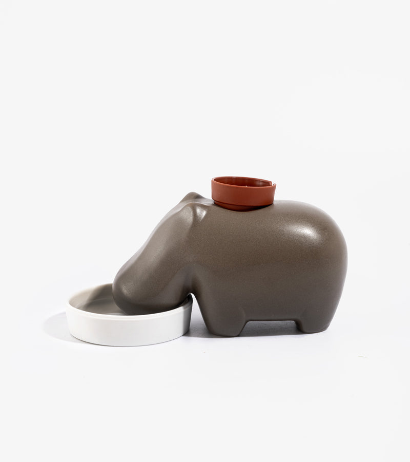 L'avant gardiste DIY Hippoplant hippopotame plante à faire pousser