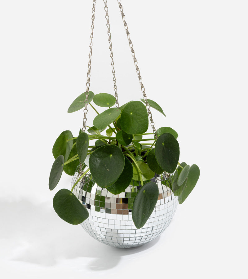 L'avant gardiste Disco pot plantes boule facettes 15cm