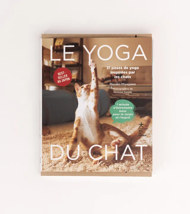 L'avant gardiste Yoga du Chat livre humour yoga félin