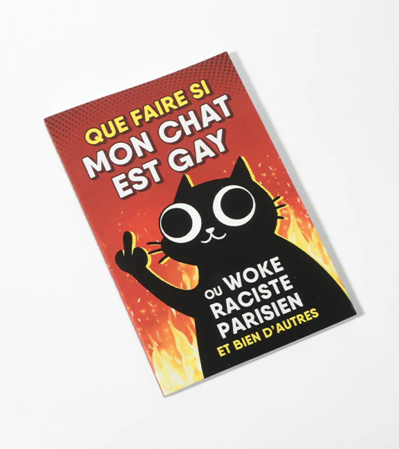 Que faire si mon chat est gay livre humour chat