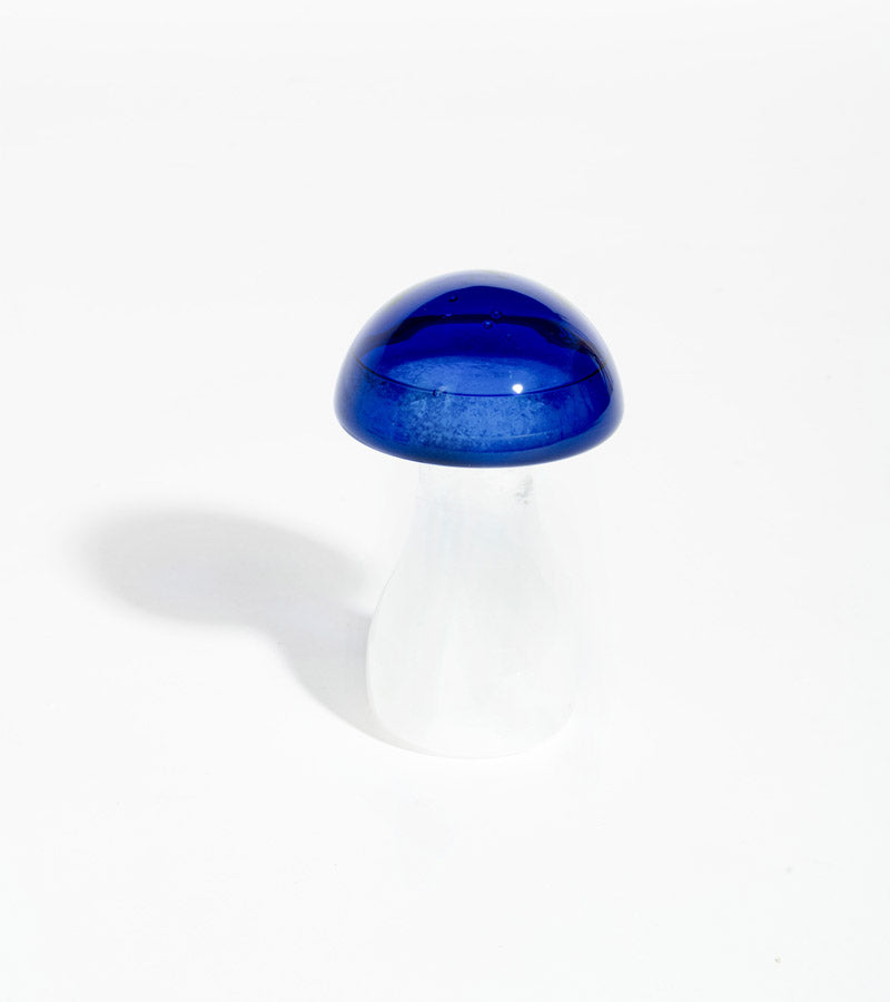Storm Glass Champignon baromètre verre bleu déco maison
