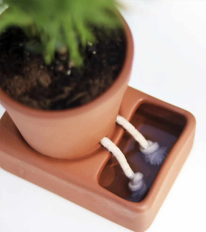 L'avant gardiste Vases et cache-pots jardinière autonome terre cuite