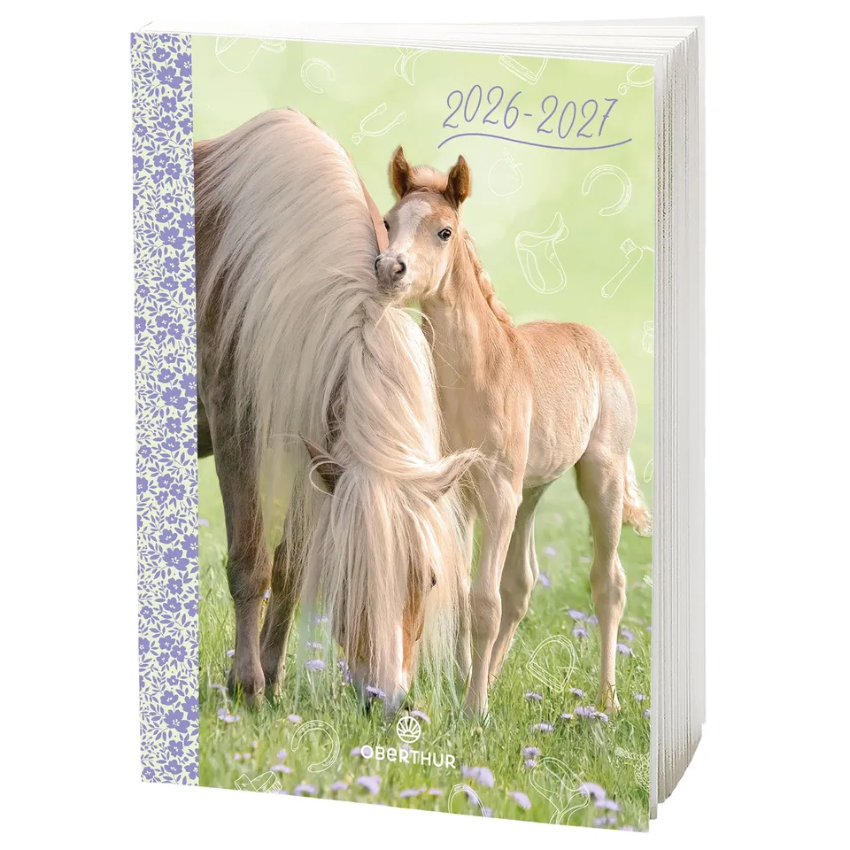 Stokomani agenda cheval 2026-2027 scolaire équitation