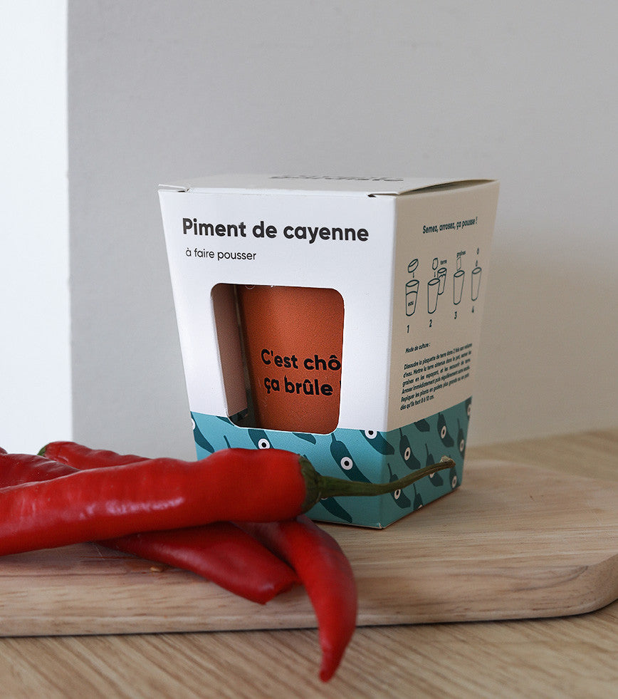 L'avant gardiste DIY Piment à faire pousser kit