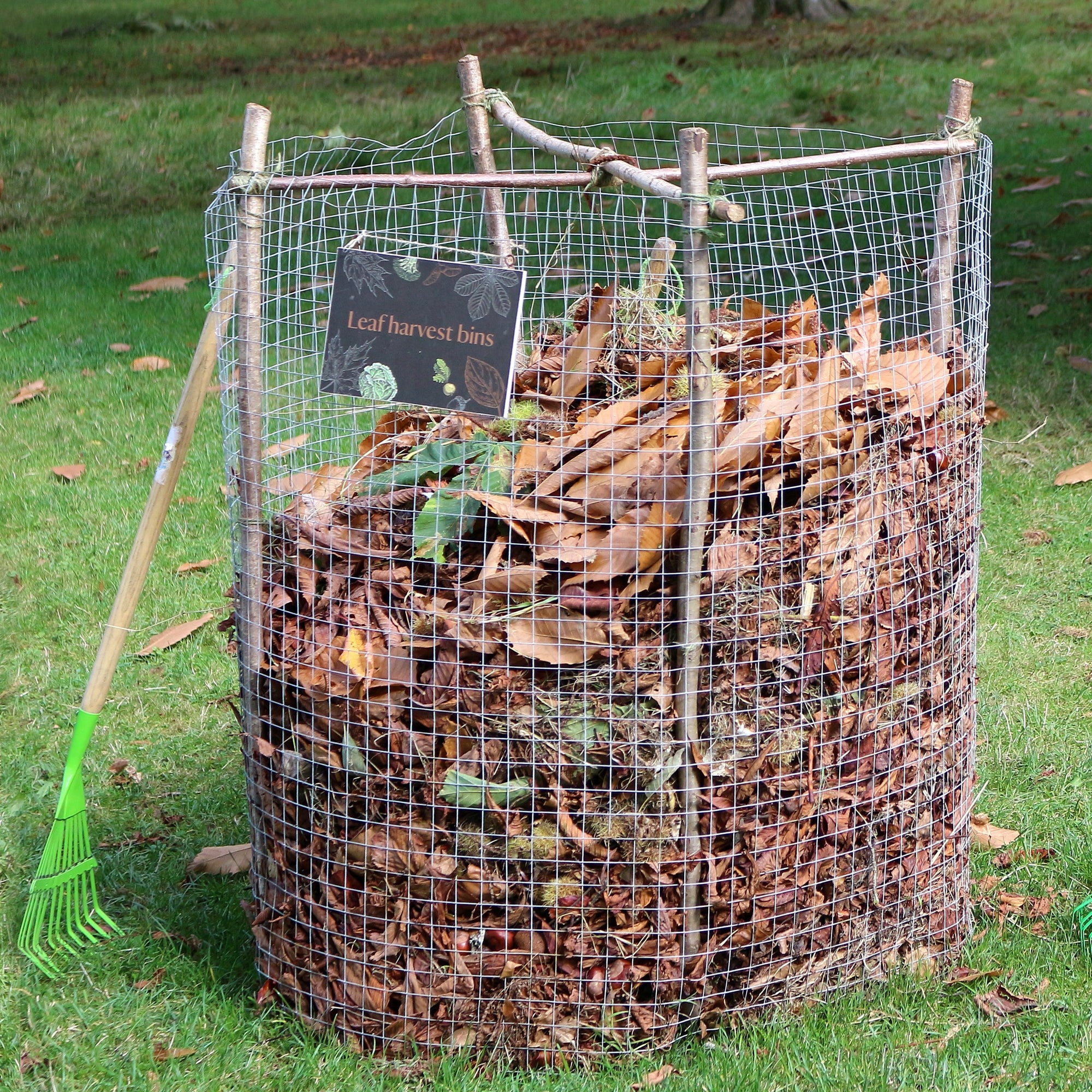 ECD Germany Garten grillage volière galvanisé argent 1x25m maille 19mm