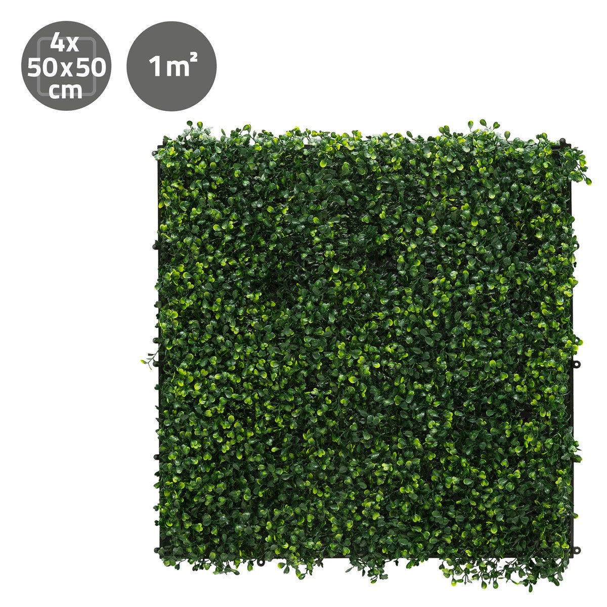 ECD Germany Haus Wohnen Mur Végétal Buxus 4x50x50