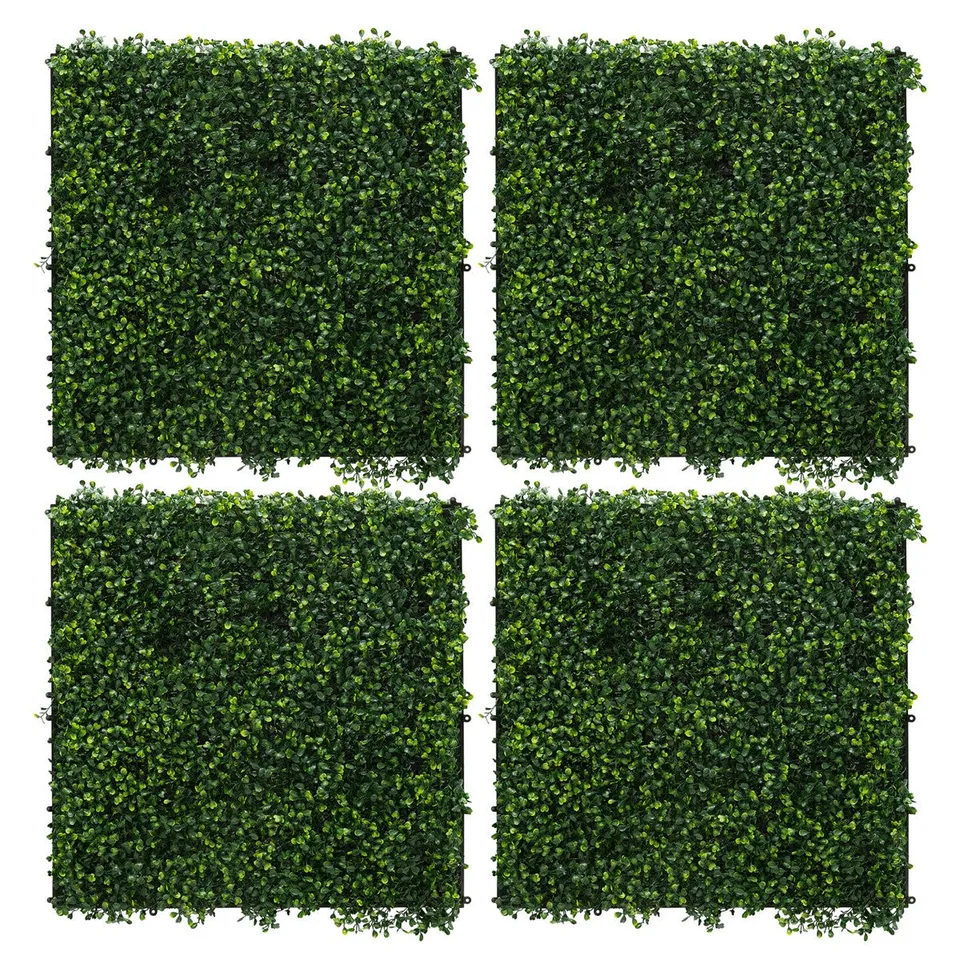 ECD Germany Haus Wohnen Mur Végétal Buxus 4x50x50