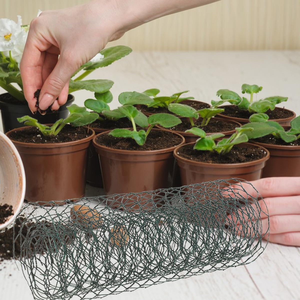 Milisten Patio grillage poule vert 30 cm x 1 m maille 19 mm