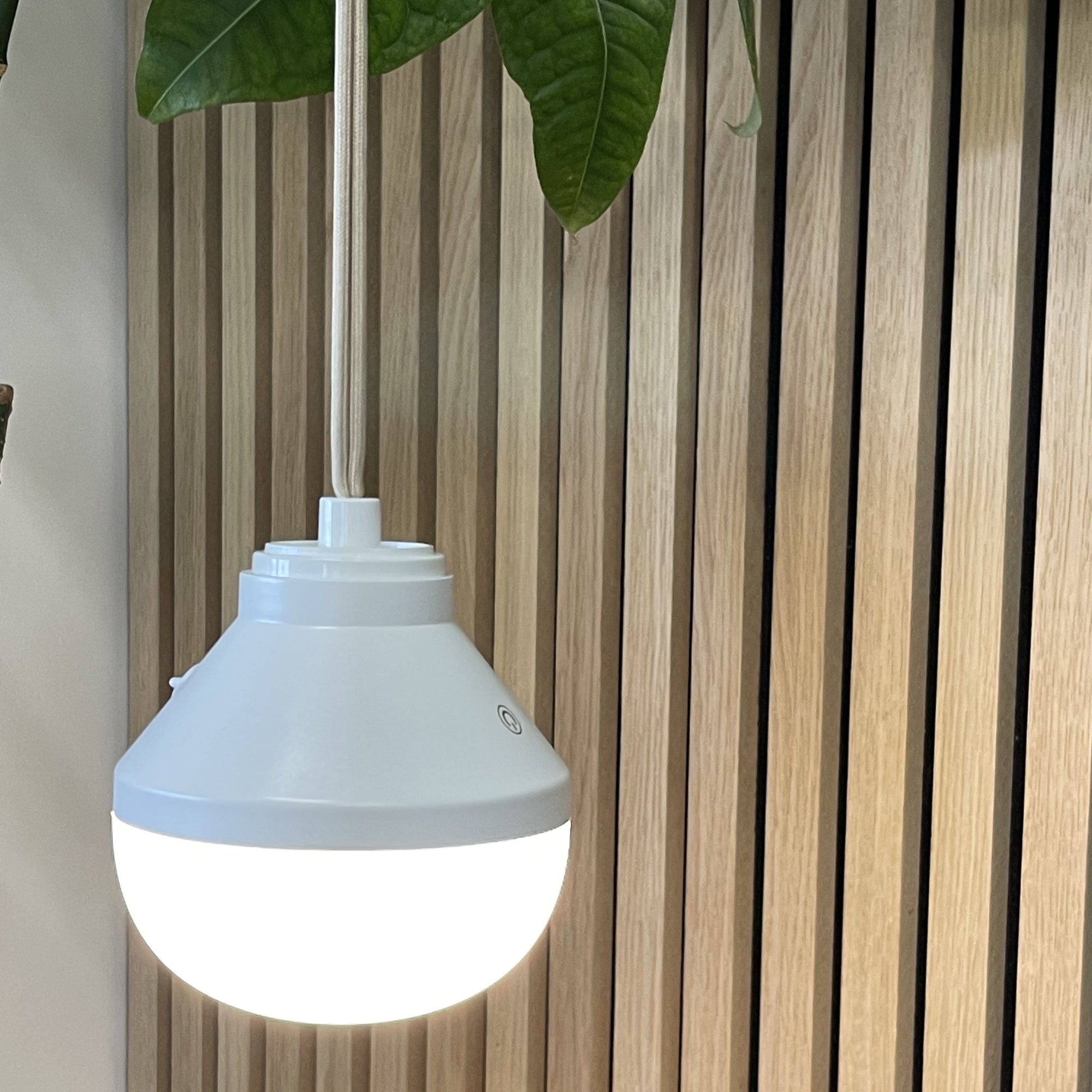 Red Deco Lys ampoule LED rechargeable 900lm télécommande