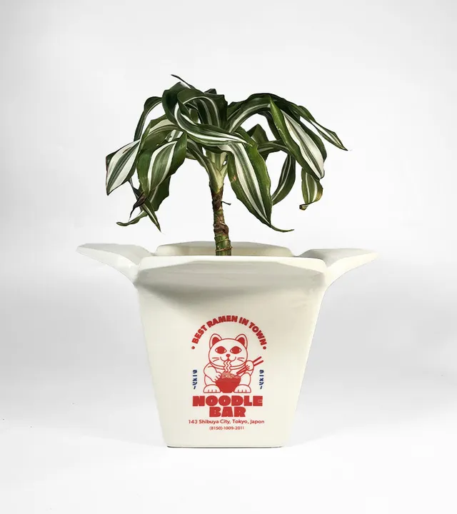 Pot à plantes Ramen cache-pot déco cuisine
