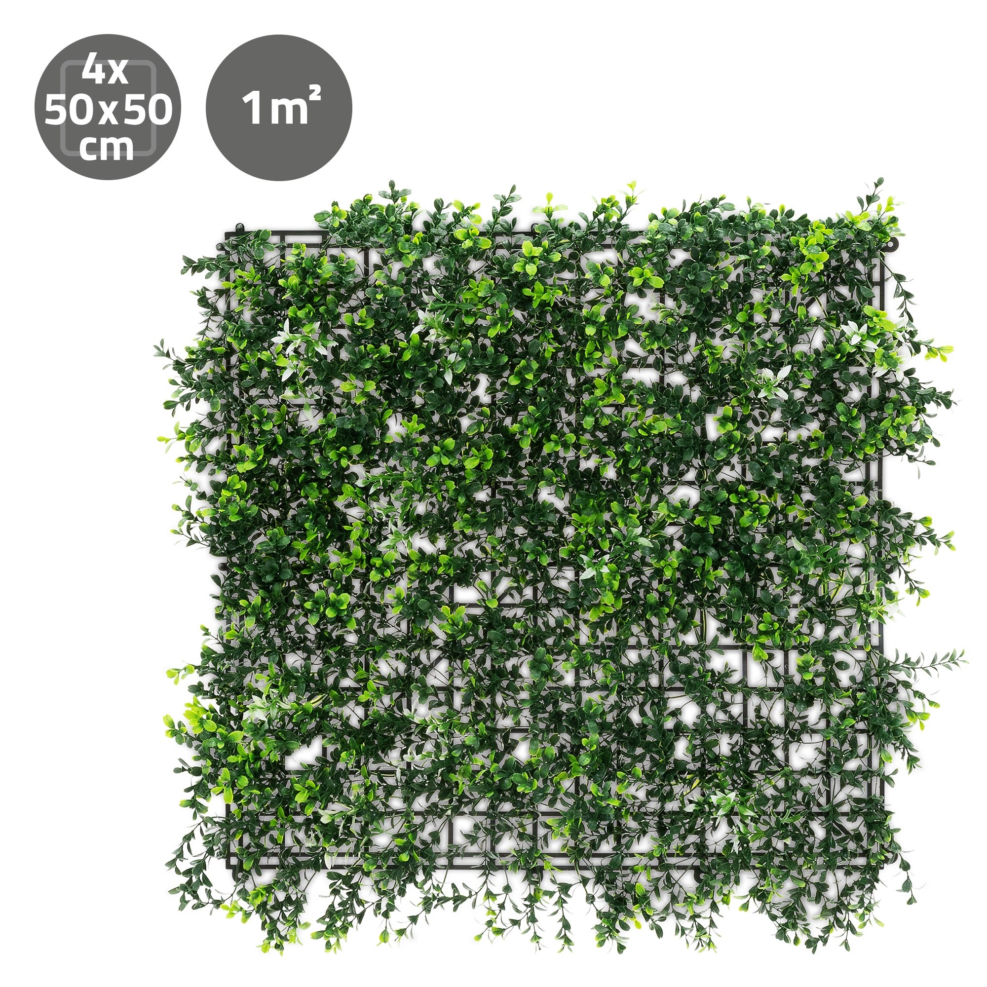 ECD Germany Haus & Wohnen Pachysandra mur végétal 4x50x50 vert