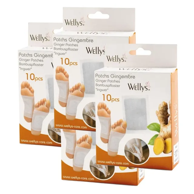 Shop-Story Ginpatch patchs pieds detox gingembre lot 40