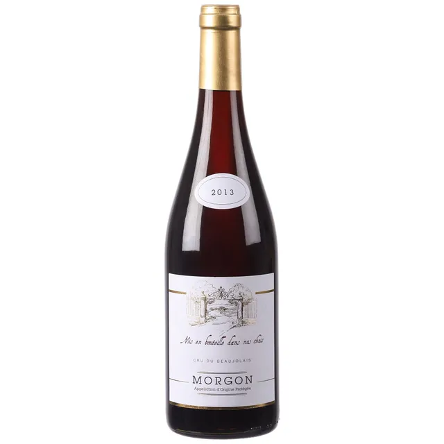 Morgon AOP 2013 vin rouge 13% bouteille cru Beaujolais