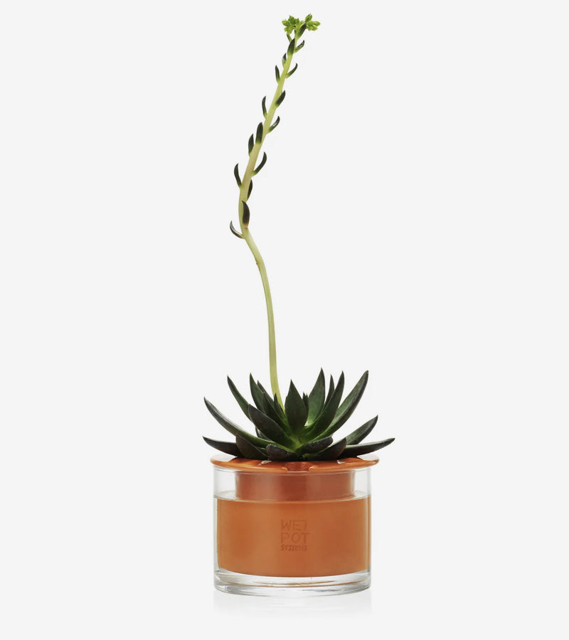 L'avant gardiste Wet Pot pot céramique intelligent moyen réserve eau