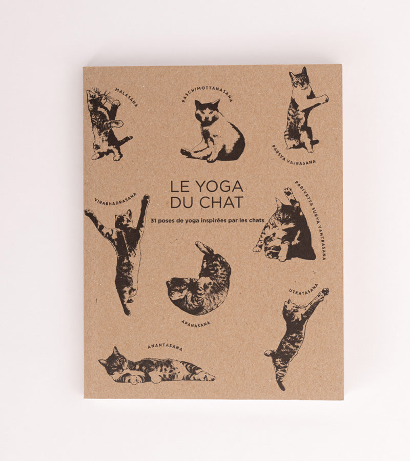 L'avant gardiste Yoga du Chat livre humour yoga félin