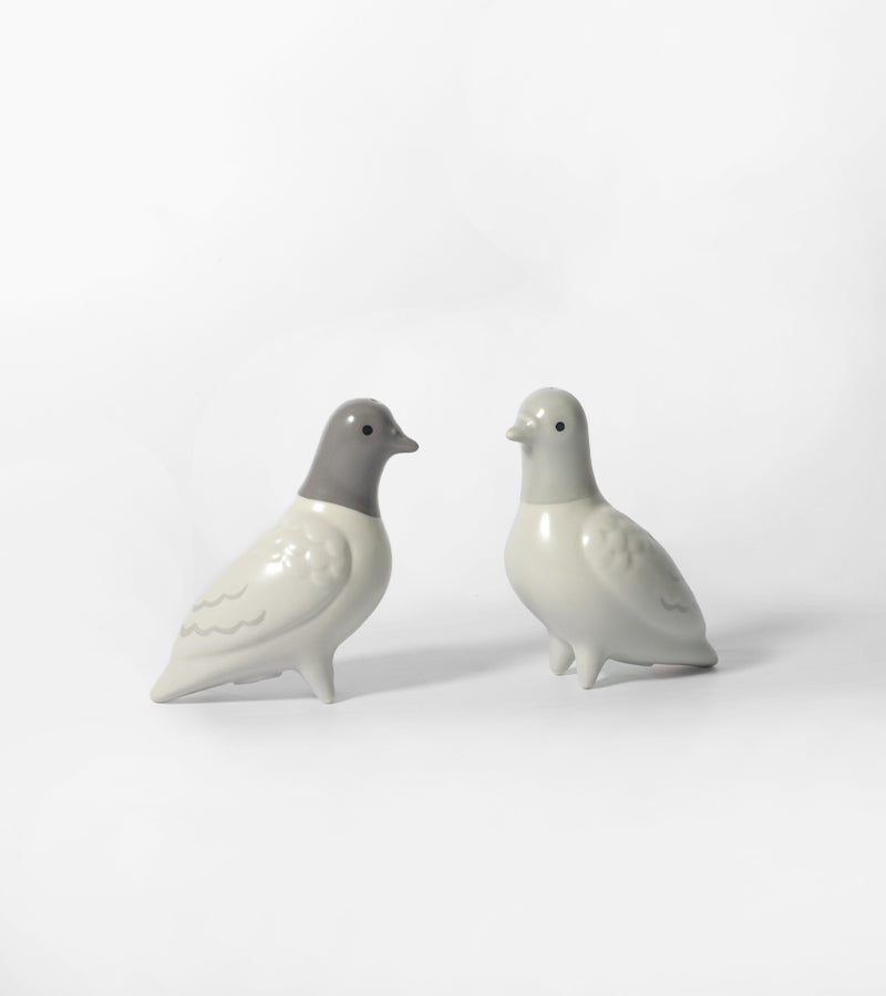 L'avant gardiste pigeons salière poivrière oiseaux gris