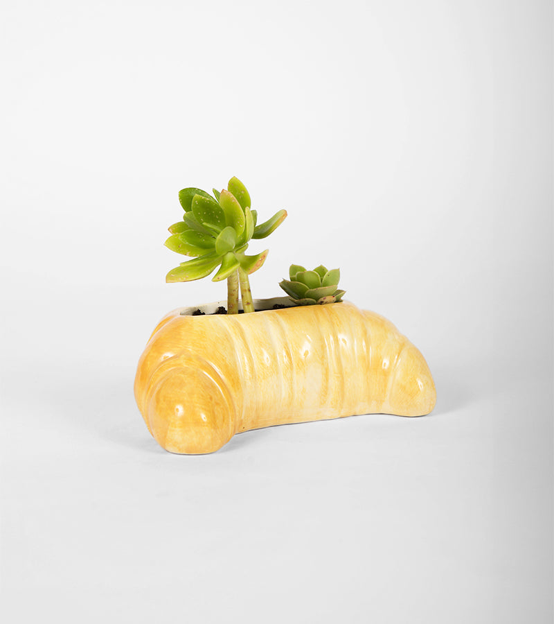 L'avant gardiste Croissant pot à plante doré petit-déj