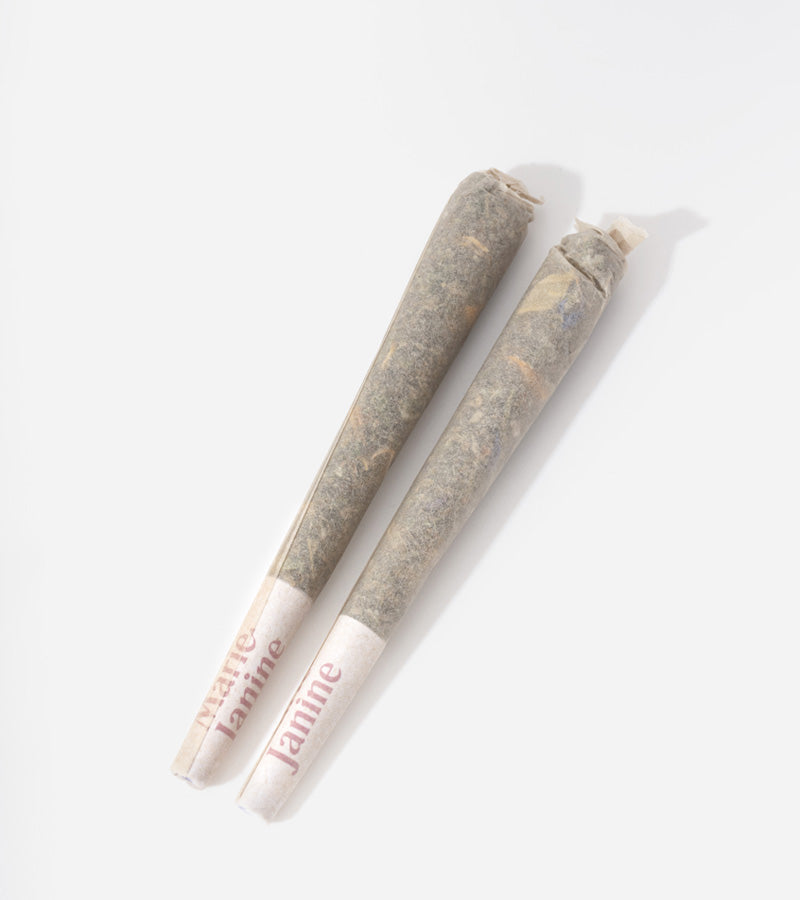 L'avant gardiste Pré-roll CBD Bio pack de 2 chill