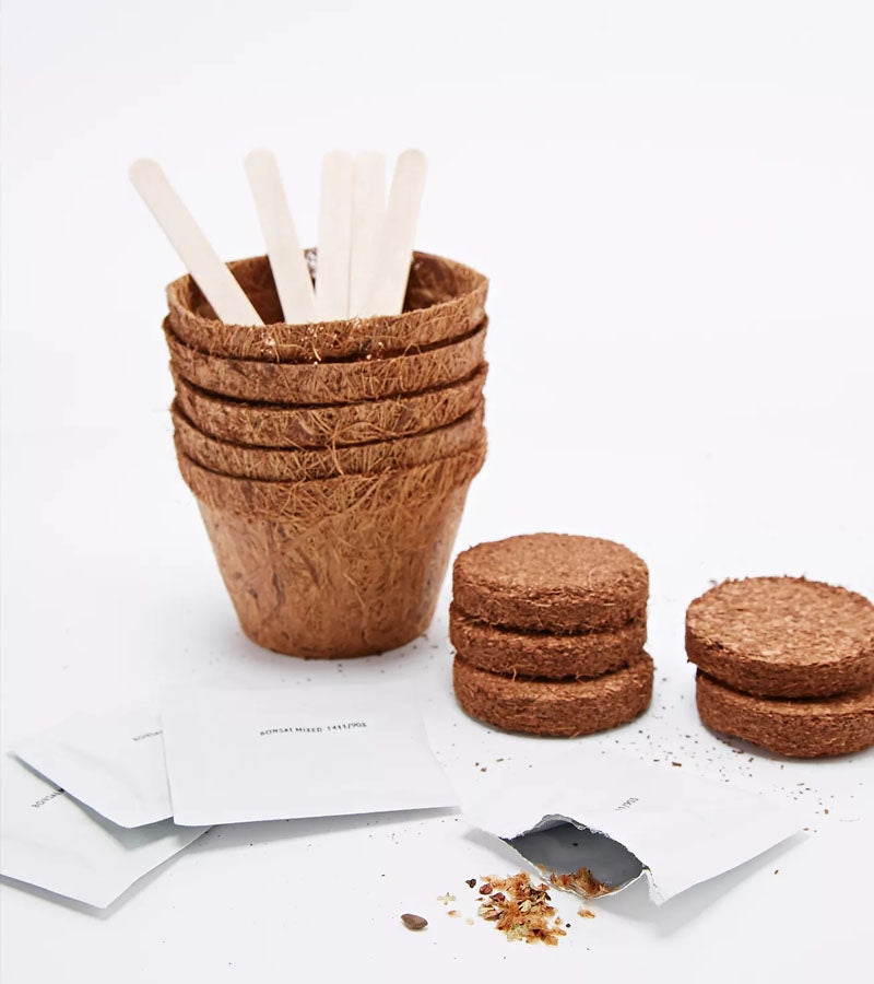 L'avant gardiste Outdoor kit plantation bonsaï graines