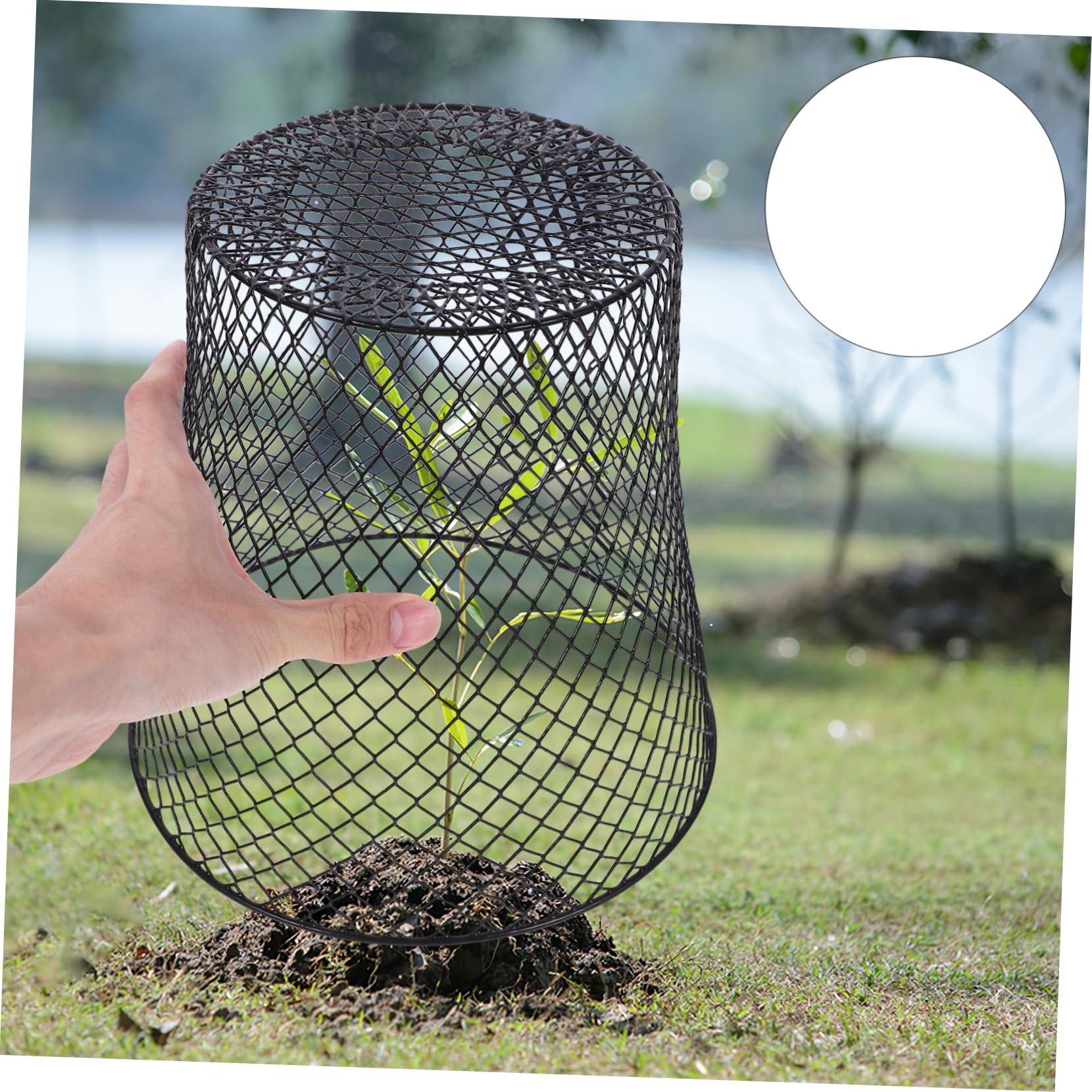 Milisten cage protection plantes fer 23 cm lot 4 réutilisable