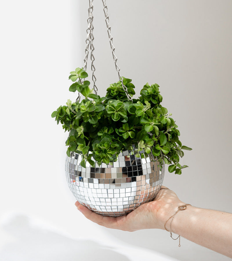 L'avant gardiste Disco pot plantes boule facettes 15cm