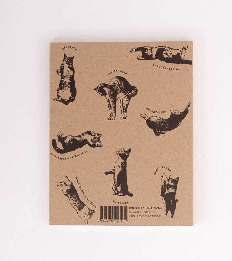 L'avant gardiste Yoga du Chat livre humour yoga félin