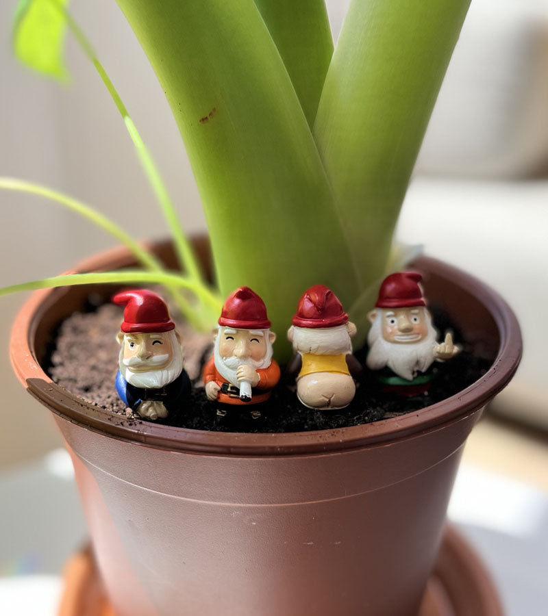 L'avant gardiste Outdoor mini gnomes jardin effrontés