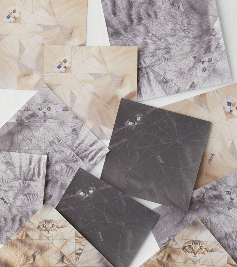 L'avant gardiste Mini-origamis Chats kit papier DIY